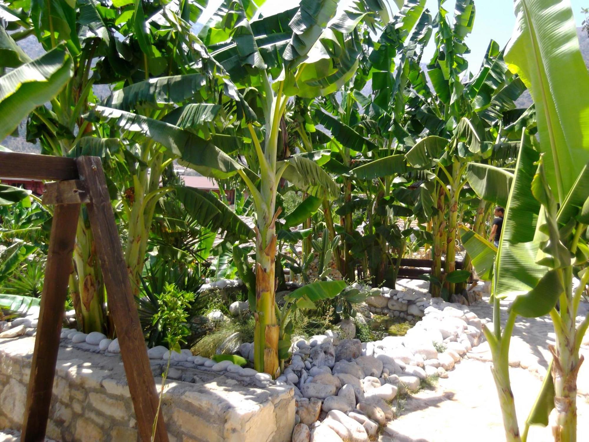 Stone Village Hotel Apartments Bali  ภายนอก รูปภาพ